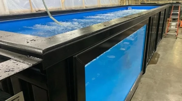 40Ft Container Swimming Pools - Save Now