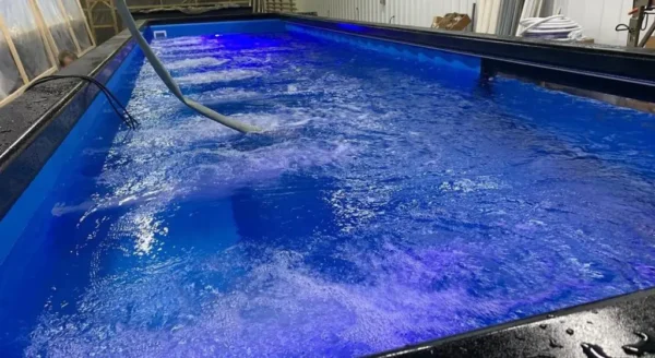 40Ft Container Swimming Pools - Save Now